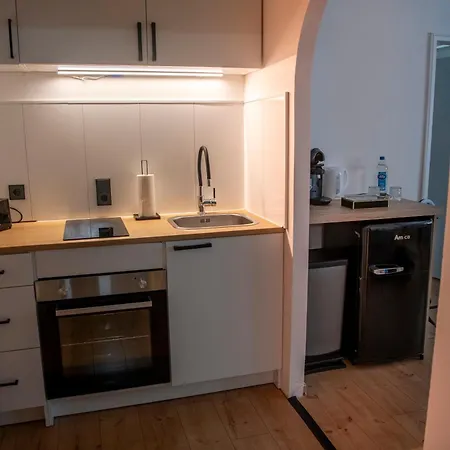 Apartmán Savon#1 - Innenstadt Netflix-kueche-parking-wlan-kingsizebett-loggia