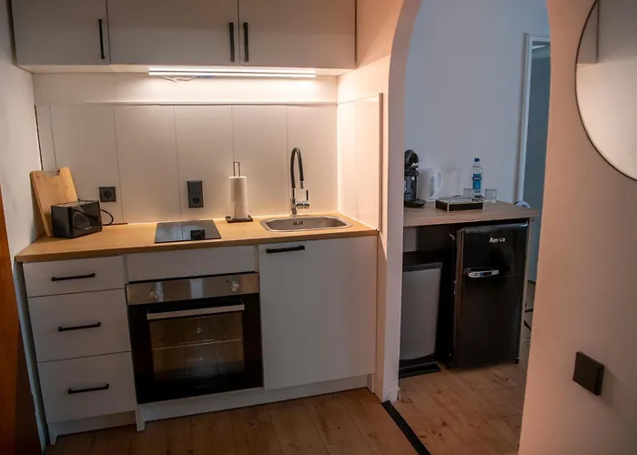 Daire Savon#1 - Innenstadt Netflix-kueche-parking-wlan-kingsizebett-loggia